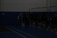 IMG_6339